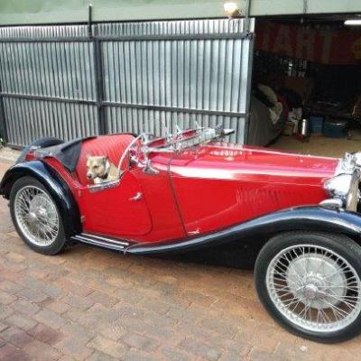 Mg P Type
