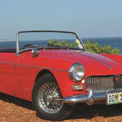 Mg Minnie Web