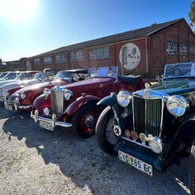 Mg Timeline